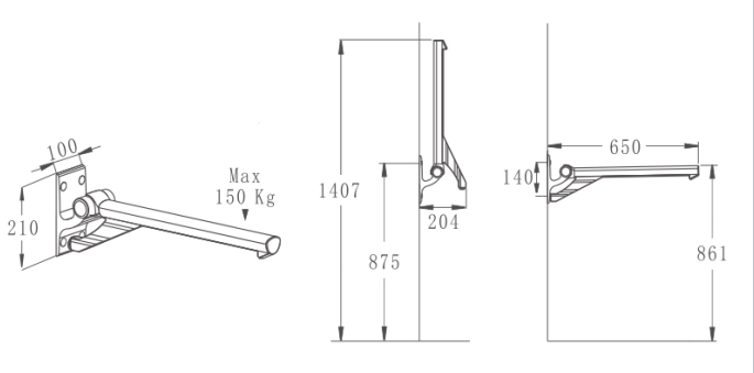 fixed grab rail for toliet