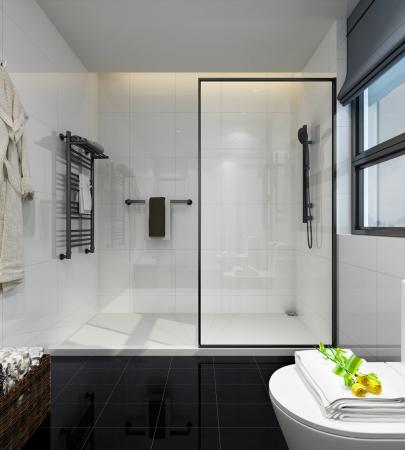 fixed glass shower door