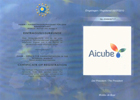 Aicube Trade Mark Registered in Germany